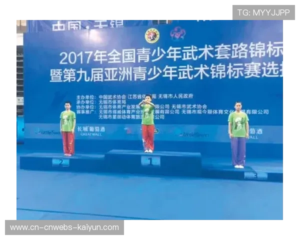 湖南师大南区夺冠获全国总决赛入场券